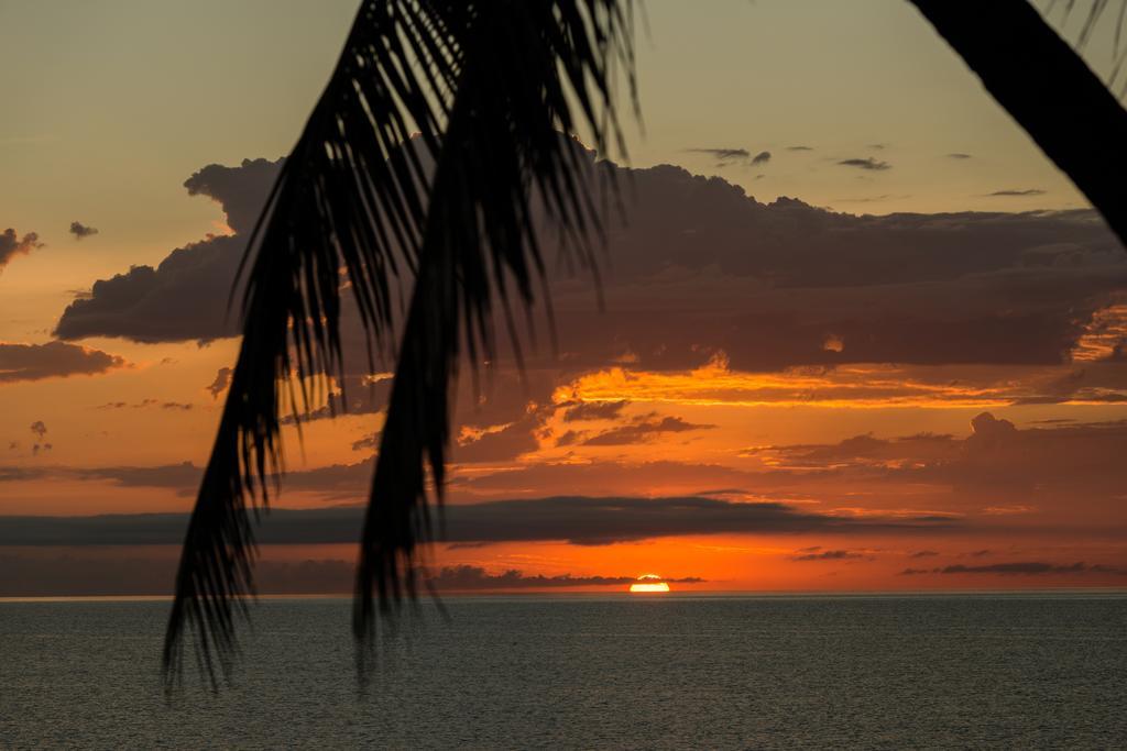 Thala Beach Nature Reserve Port Douglas Kültér fotó