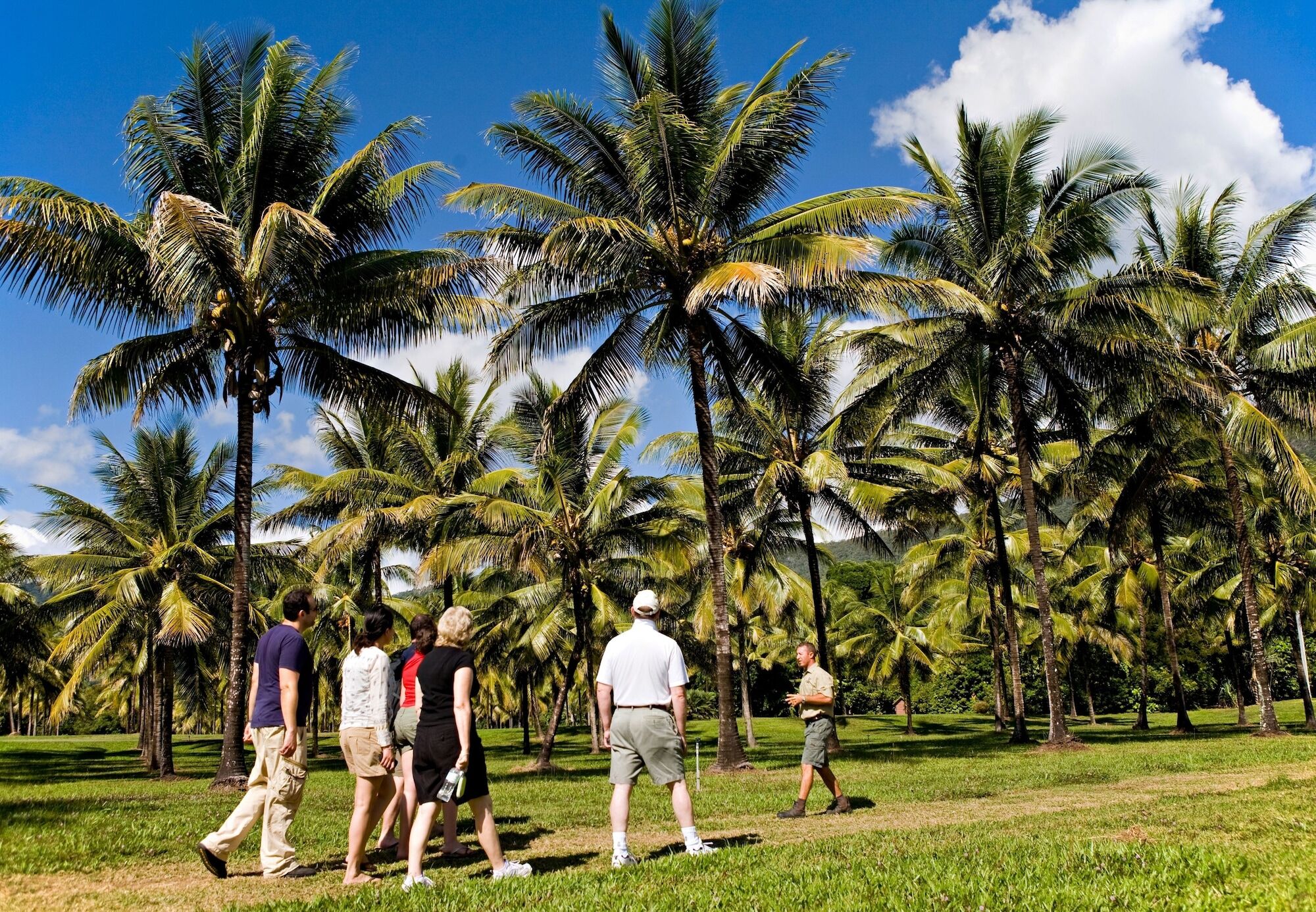 Thala Beach Nature Reserve Port Douglas Kültér fotó